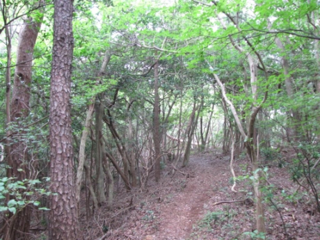 画像19